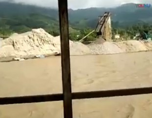 视频展示